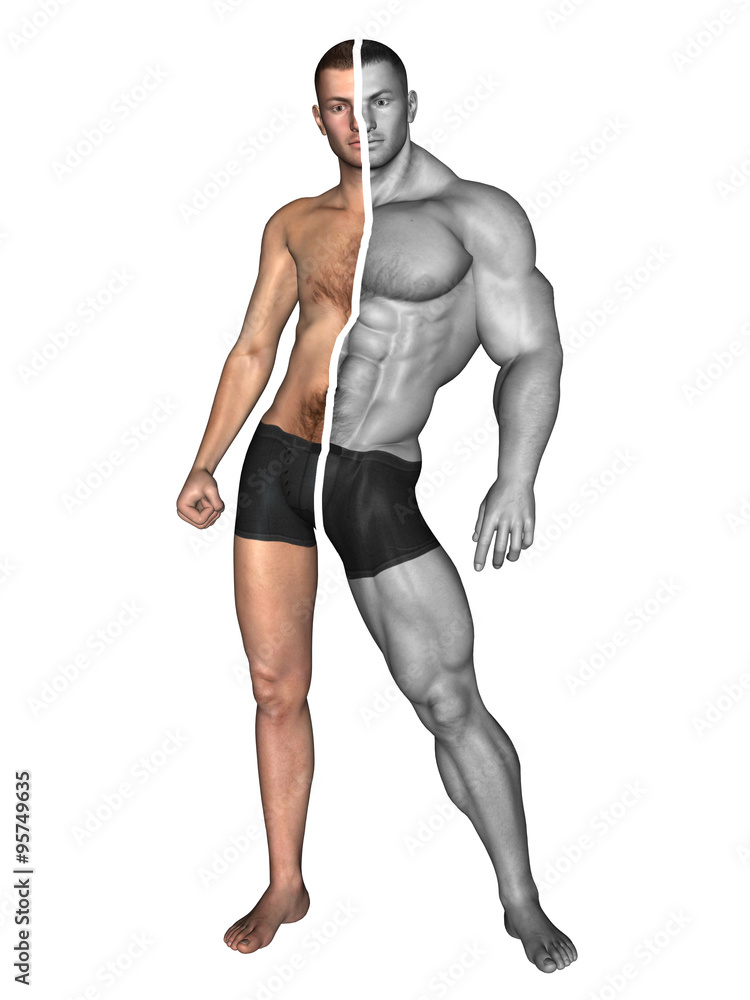 Fototapeta premium Human man thin and muscle concept isolated