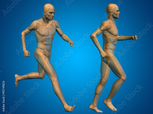 Conceptual man or human 3D anatomy or body on blue © high_resolution
