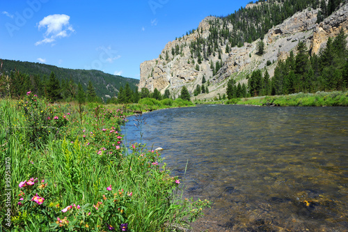 Scenery is enhanced by lone fly fisherman fishing the Gallatin River in Gallatin Valley, Montana.  Forefront has pink wildflowers and expanse of river. photo