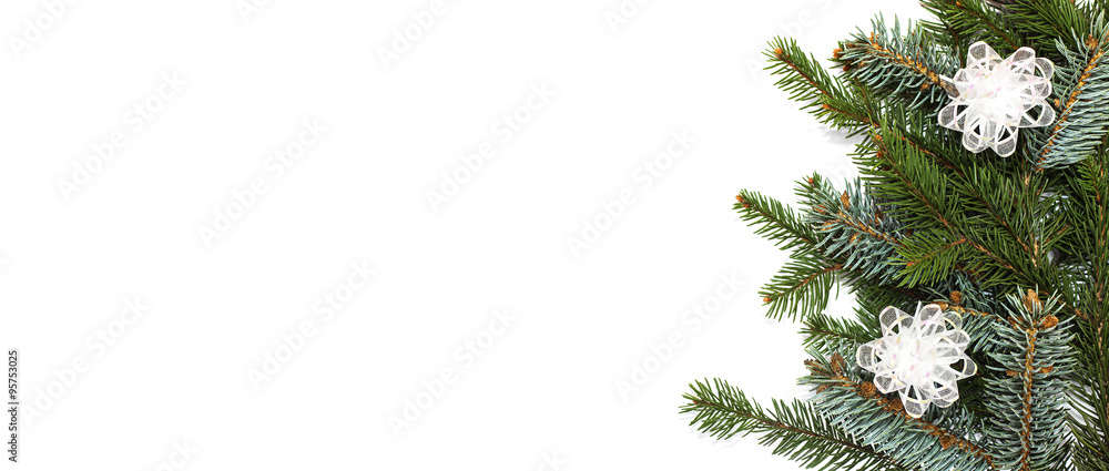 Blank Christmas card with pine needles and bows letterbox