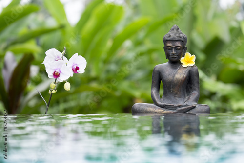 Fototapeta Naklejka Na Ścianę i Meble -  bouddha dans l'eau