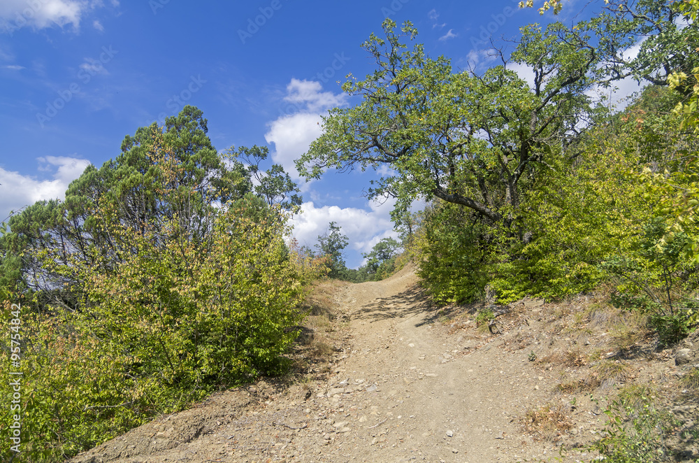 Dirt road in the Crimean mountains. Dirt road in the Crimean mountains.