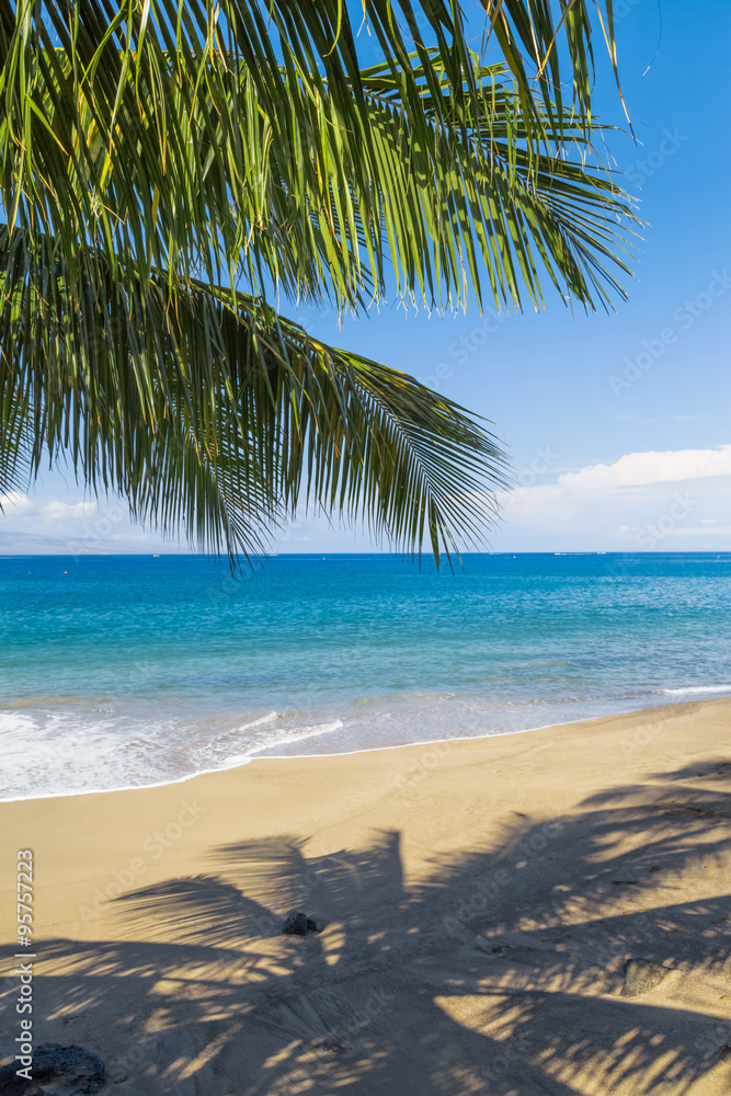 Obraz premium Tropical beach with palm trees