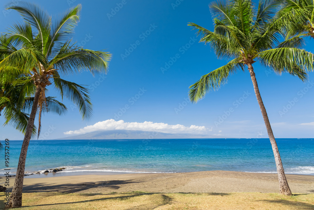 Tropical beach paradise