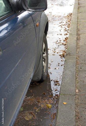 Leaves In Puddle