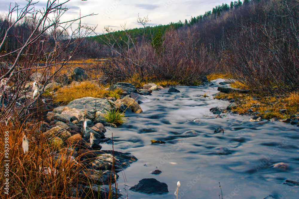 Obraz premium Small rocky river.A slow moving stream in a forest in autumn