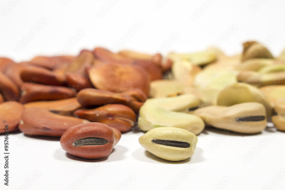 Dry seeds of broad bean of different colors, on white Dry seeds of broad bean of different colors, on white