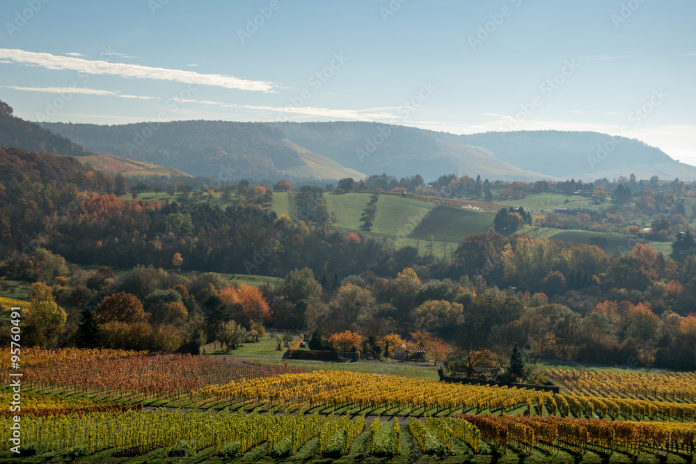 Herbstliche Landschaft 
Aussicht vom Weinberg im Herbst
