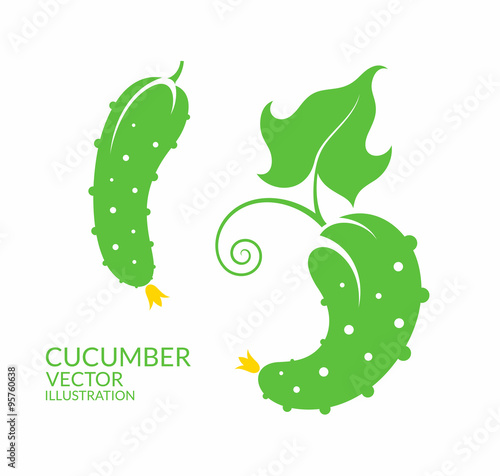 Cucumber. Isolated vegetables on white background