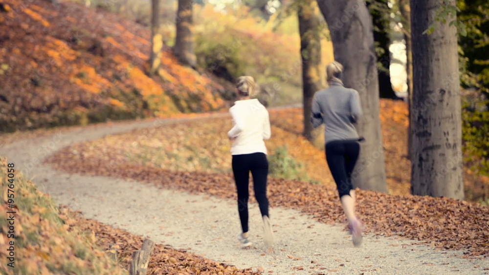 Running at park with autumn colours Running at park with autumn colours