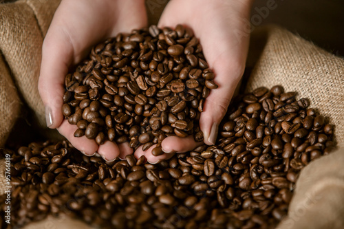 Fresh roasted coffee beans pouring out of cupped woman`s hands into a burlap bag