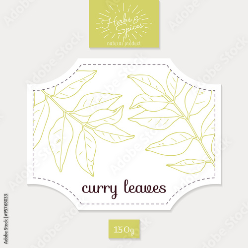 Product sticker with hand drawn curry leaves. Spicy herbs packaging design