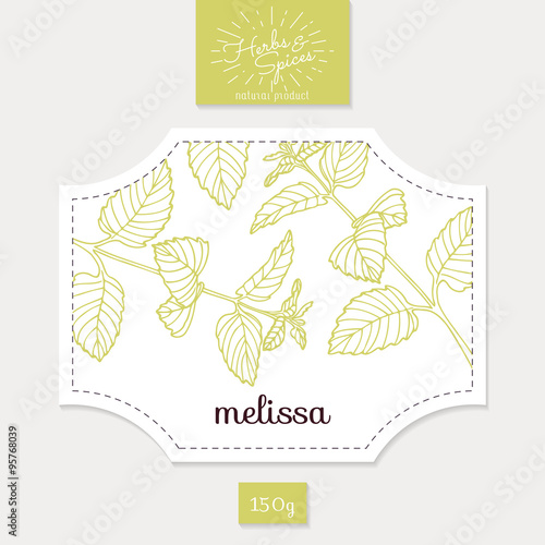 Product sticker with hand drawn melissa leaves. Spicy herbs packaging design