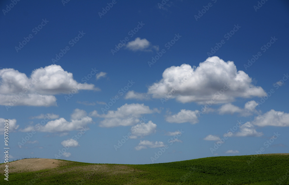 hermoso campo verde del sur de Andalucía