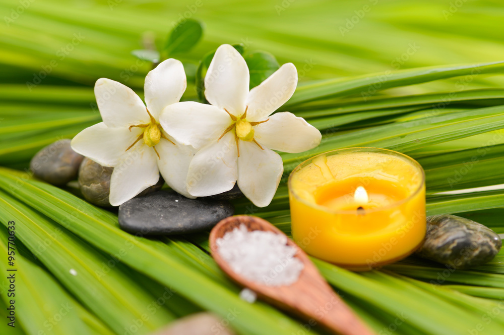 Various spa and green palm background