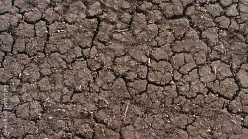 closeup shot of Dry land photo