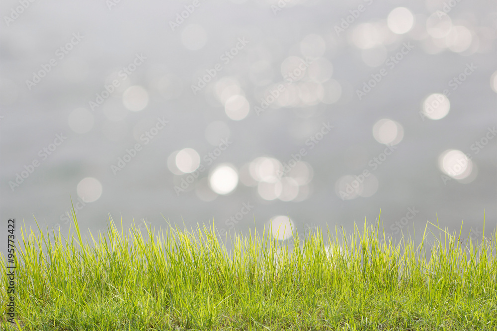 Obraz premium Peaceful.