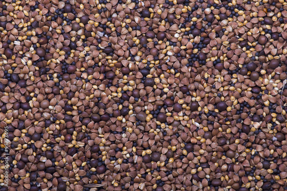 Background of mixed seeds. Pet food for birds. Background of mixed seeds. Pet food for birds.