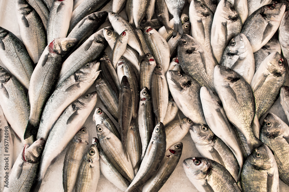 Obraz premium Fresh fish