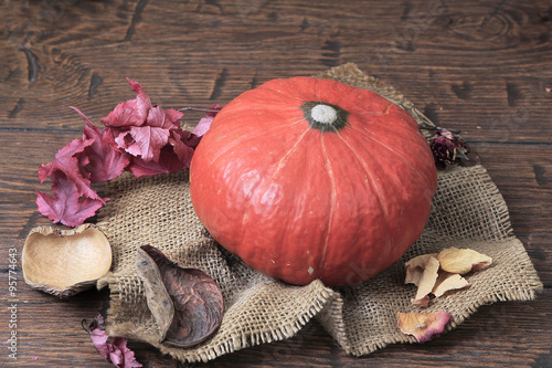 Orange pumpkin and old dry leaves lying on vintage homespun canv photo