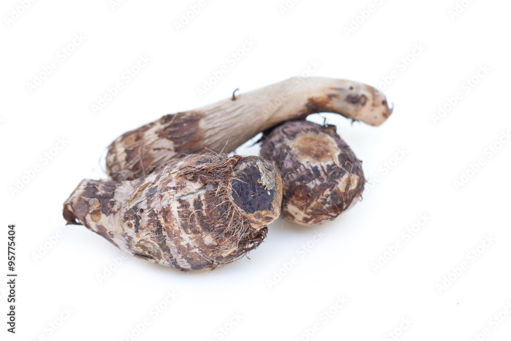 Taro isolated on white. (Scientific Name : Colocasia esculenta var. aniquorum)