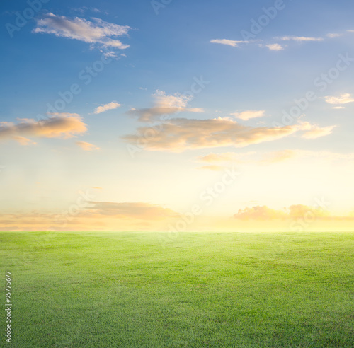 Grassland and sky