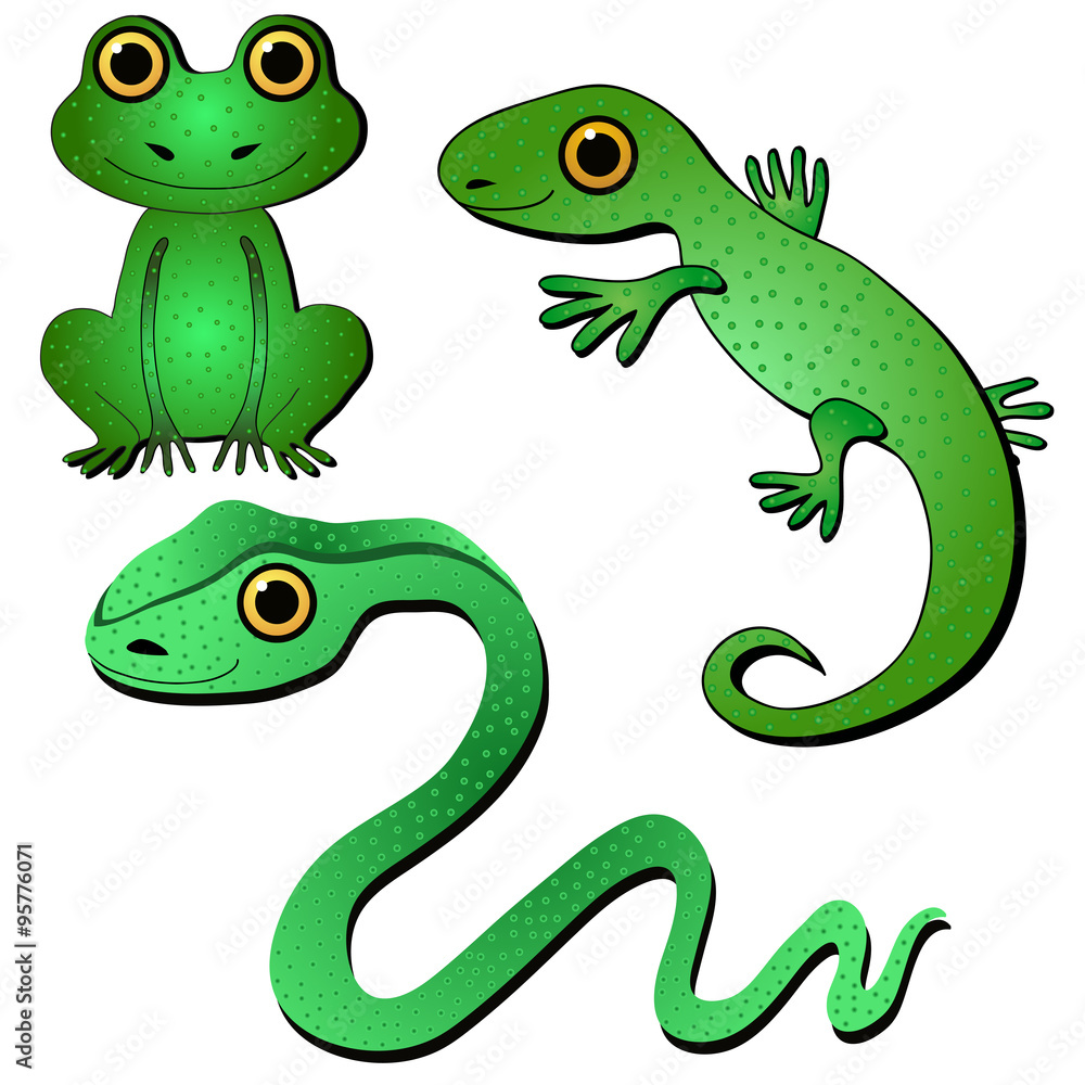 Obraz premium Amphibians and reptiles