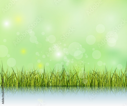 Green grass with reflection on water floor.Bokeh effect on light green and blue pastel color background with copy space. Spring nature season and Blank space for content or your design as background © nongkran_ch