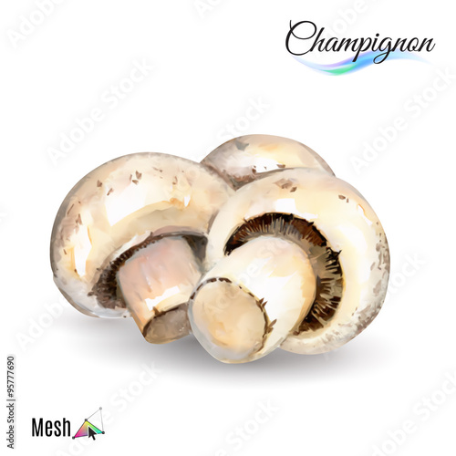 Watercolor champignon