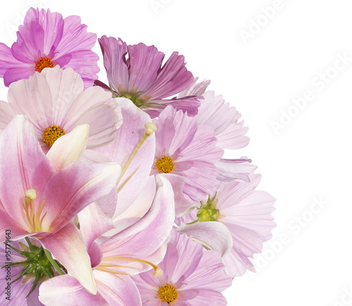 Beautiful bouquet pink flowers garden on white background isolated