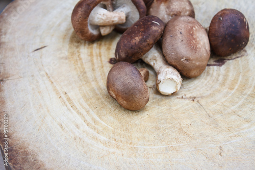 shiitake mushrooms on a wooden cutting board