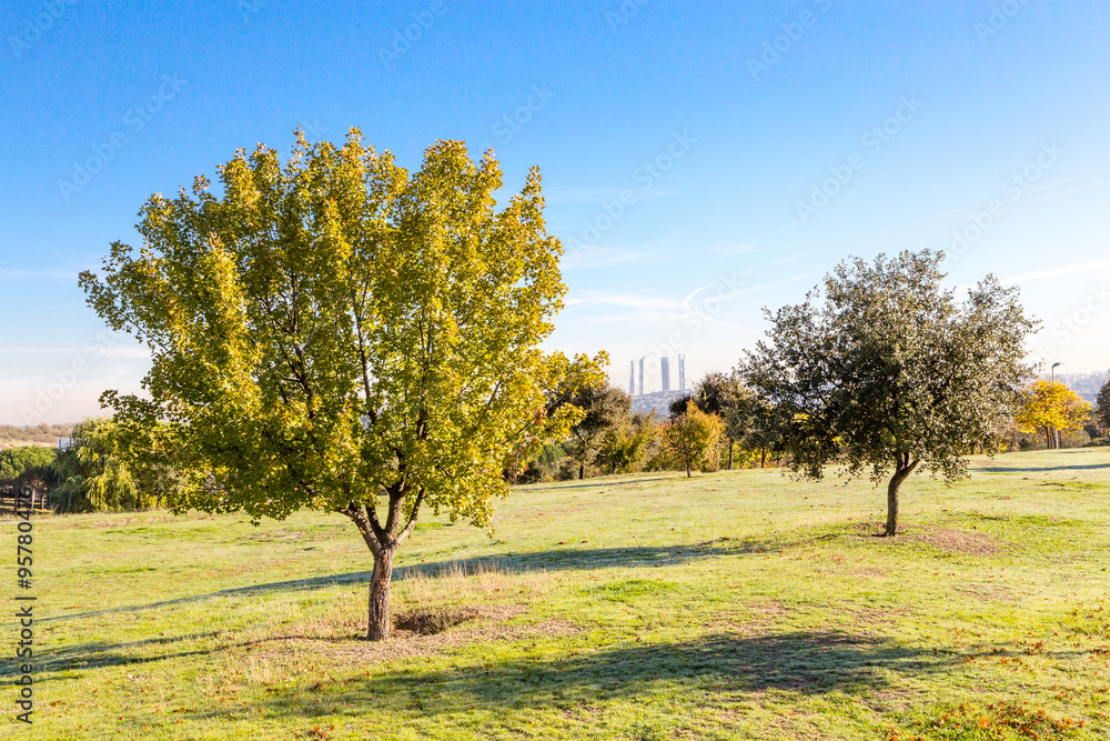 Fototapeta premium Horizonte de Madrid contaminado