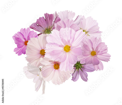 Beautiful bouquet pink flowers garden on white background isolat