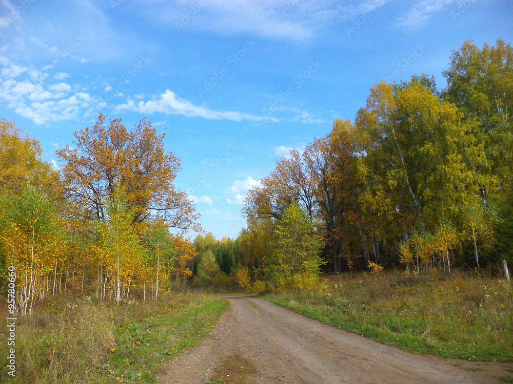 осенний лес