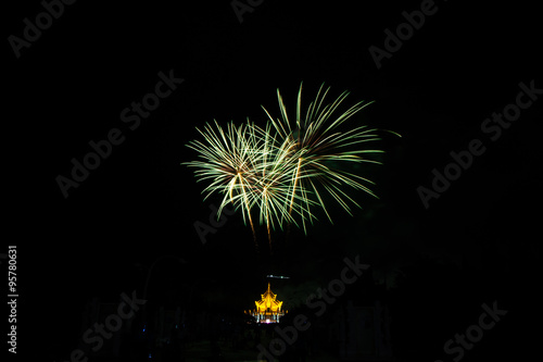 Colorful fireworks over dark sky