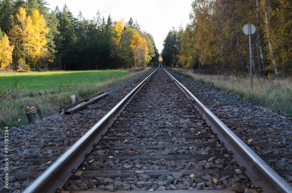 Fototapeta premium Railroad tracks