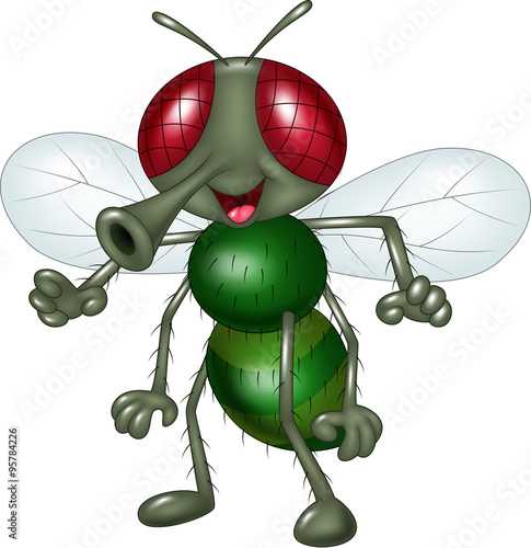 Cartoon happy fly isolated on white background
