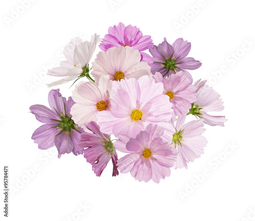 Beautiful bouquet pink flowers garden on white background 
