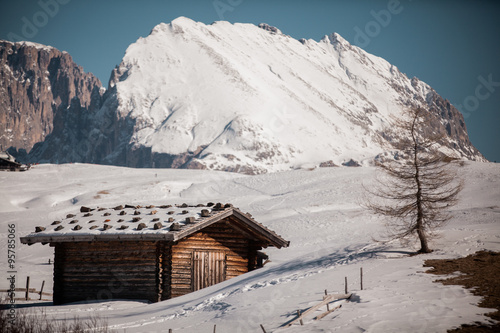 Traditional alpine log or timber cabin #95785066