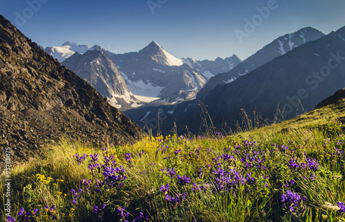 Mountain peaks and alpine meadow