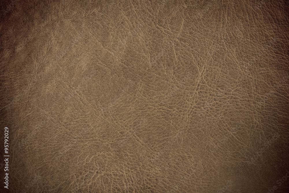 grunge scratched leather to use as background grunge scratched leather to use as background