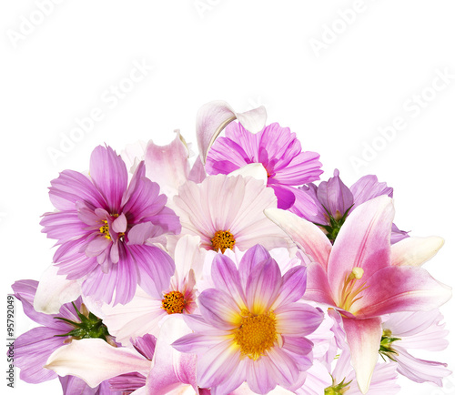 Beautiful bouquet pink flowers garden on white background 