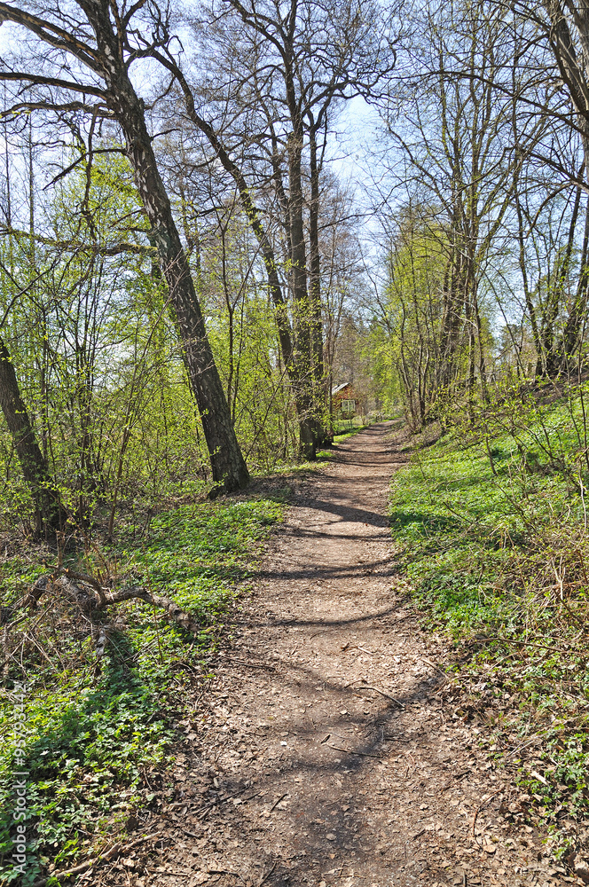 Pastoral green spring path landscape in spring forest and sunshine. Pastoral green spring path landscape in spring forest and sunshine.