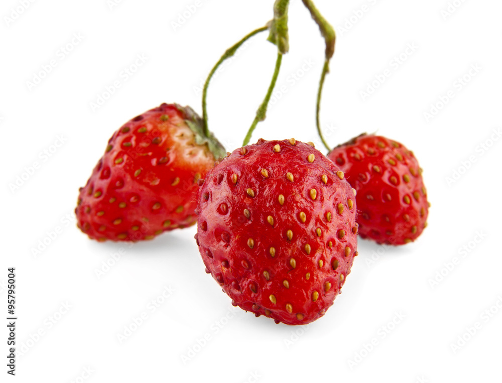 strawberry strawberry
