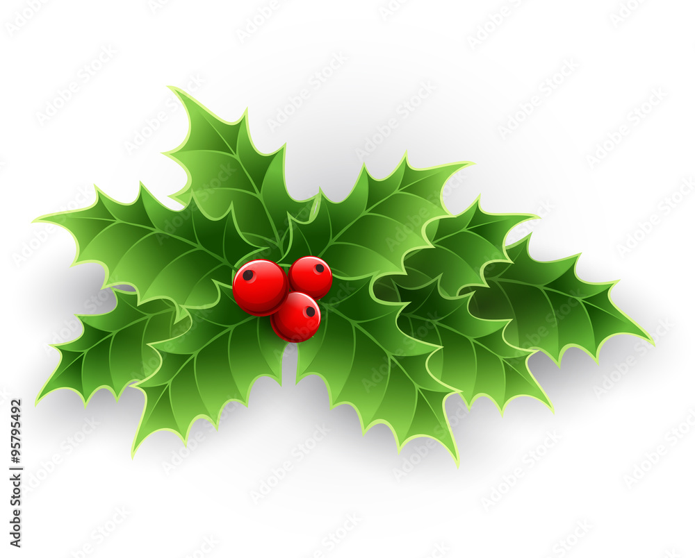 Christmas Holly Berry. Christmas Holly Berry.