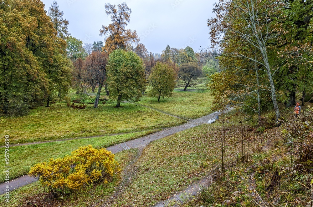 The Monrepos Park in Vyborg in autumn. A path by trees The Monrepos Park in Vyborg in autumn. A path by trees
