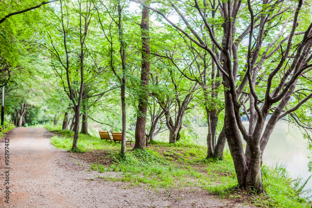 Jinhae Jinhae