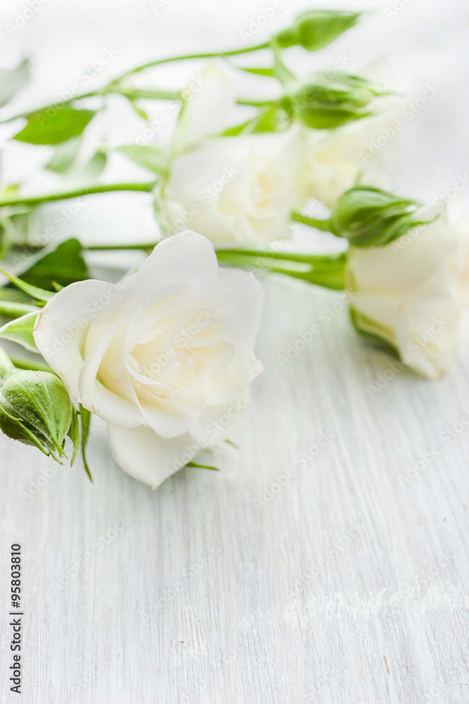 White roses on the white board White roses on the white board