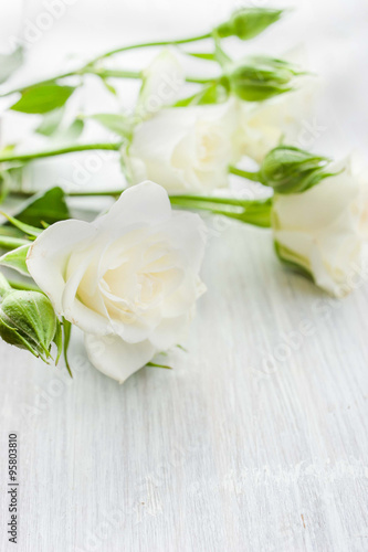 White roses on the white board © deniskarpenkov