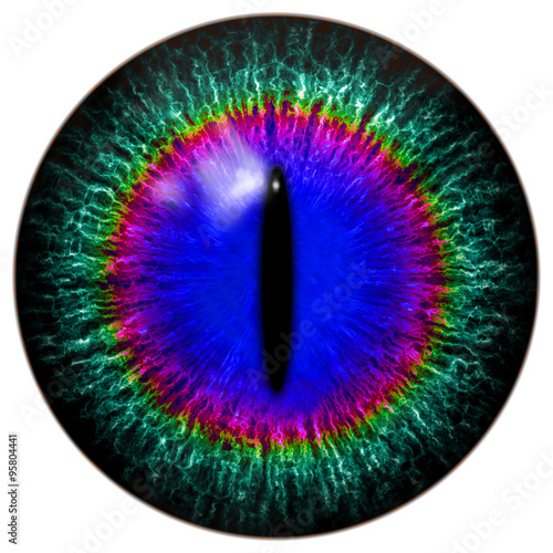 Fototapeta Naklejka Na Ścianę i Meble -  Green-blue alien, predator or cat, reptile eye with narrow pupil and rainbow circle around it